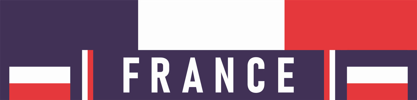 France World Cup 2026 fan scarf