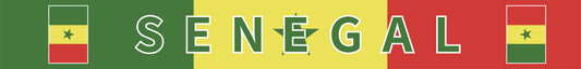 Senegal World Cup 2026 fan scarf