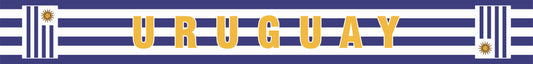 Uruguay World Cup 2026 fan scarf